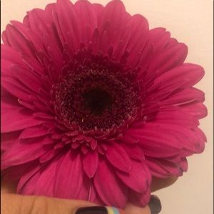 Meet your Posher, Marilu